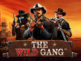 The Wild Gang screenshot